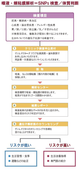 唾液・頬粘膜解析＝ＳＮＰｓ検査／体質判断