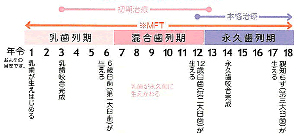 矯正治療２