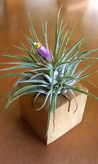 201002240745000.jpg