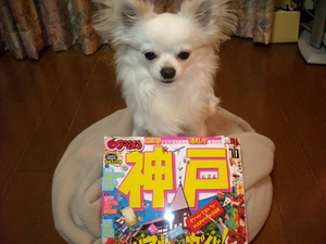 DSCN1631.JPG