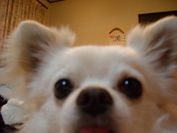 DSCN1725.JPG