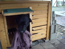 DSCN1742.JPG