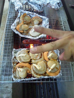 hotate.JPG