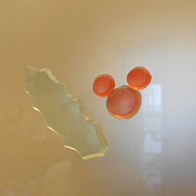 20121130_03.jpg